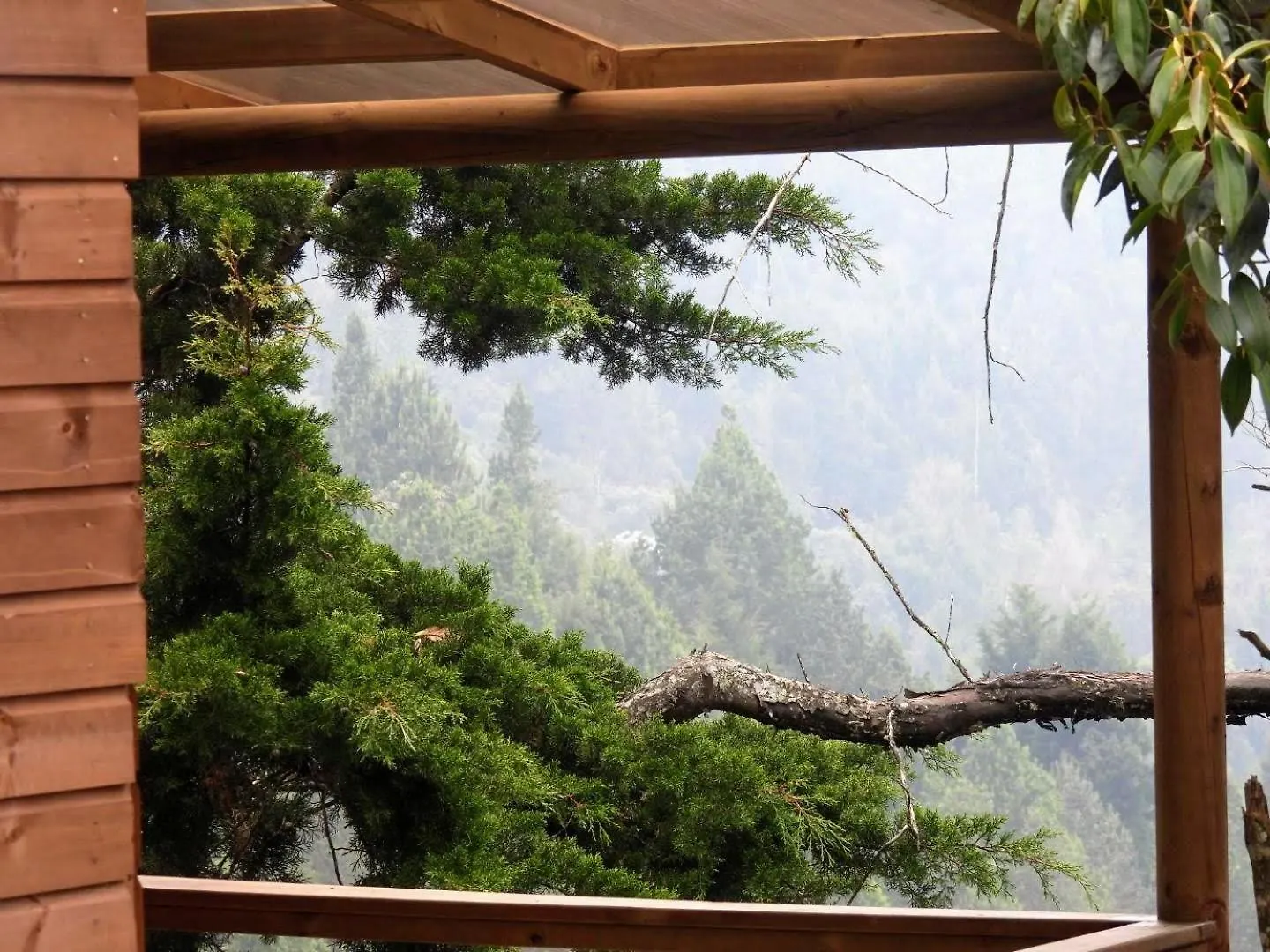 Chalet Ecoverso Cabanas Del Bosque Medellín