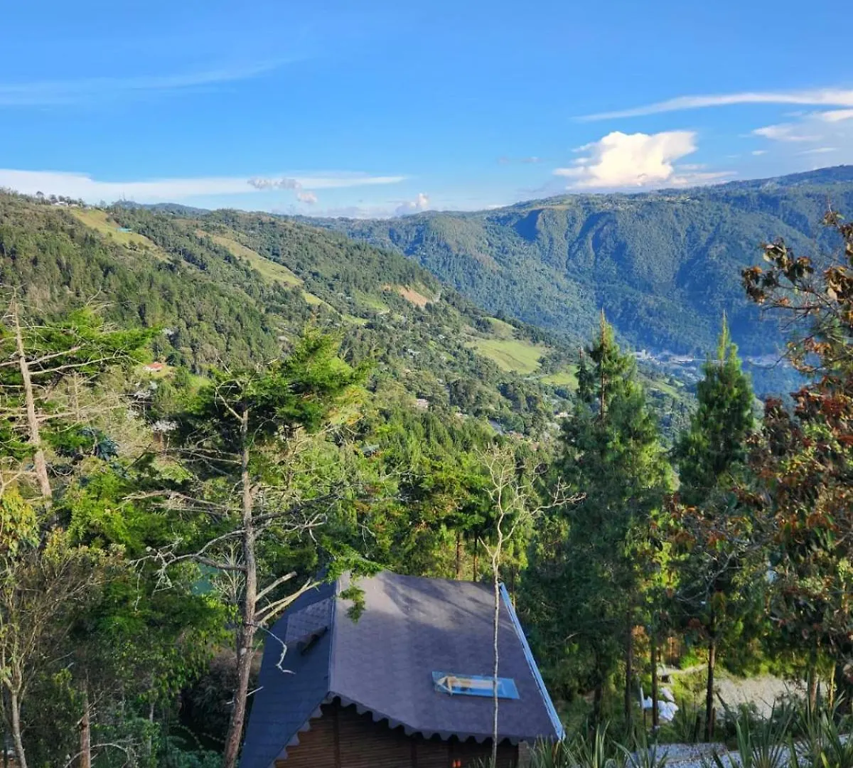 Ecoverso Cabanas Del Bosque Medellín